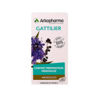 ARKOPHARMA Arkogélules gattilier 60 gélules-12472