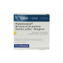 PILEJE Phytostandard cassis & plantain 30 comprimés-12908