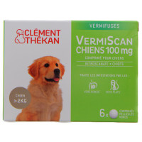 CLEMENT THEKAN VERMISCAN 100mg Cpr B/6-13348