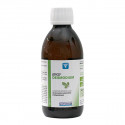NUTERGIA Ergydesmodium solution buvable 250ml-13469