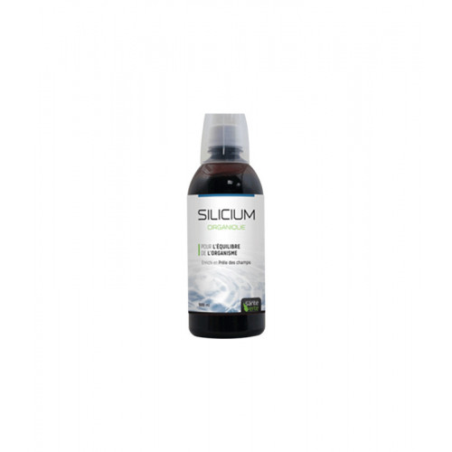 SANTE VERTE silicium organique 500 ml-13968