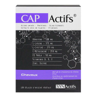 SYNACTIF Capactifs 120 gélules-14503