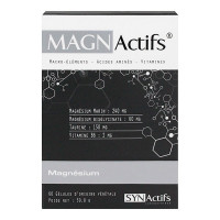 SYNACTIF Magnactifs 60 gélules-14513