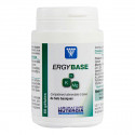 NUTERGIA Ergybase 60 gélules-14562