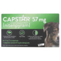 Capstar Chien dès 11 kg 6 Comprimés-15509