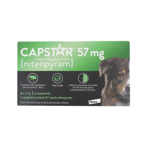 Capstar Chien dès 11 kg 6 Comprimés-15509 Capstar Chien dès 11 kg 6 Comprimés-15509