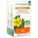 ARKOPHARMA Arkogélules Tribulus Bio 40 Gélules-15584