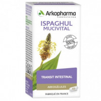 ARKOPHARMA Arkogélules Ispaghul Mucivital Bio - 150 gélules-15586