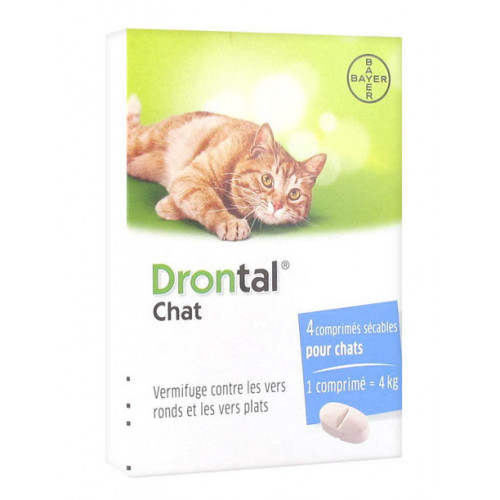 BAYER Drontal Chat Vermifuge 4 Comprimés-16298