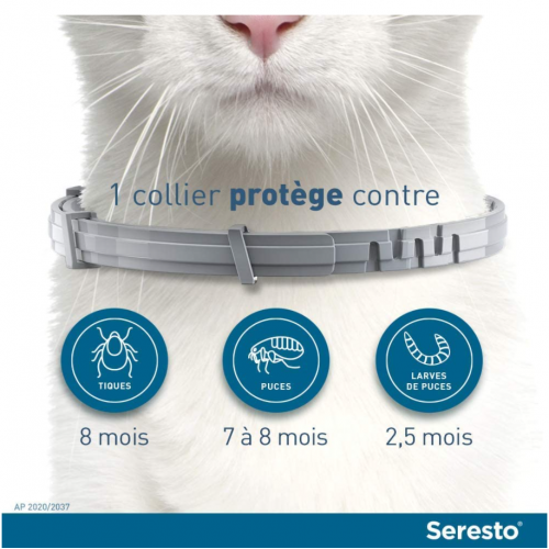 ELANCO Seresto Collier Anti Puce Chat - Protection 8 mois