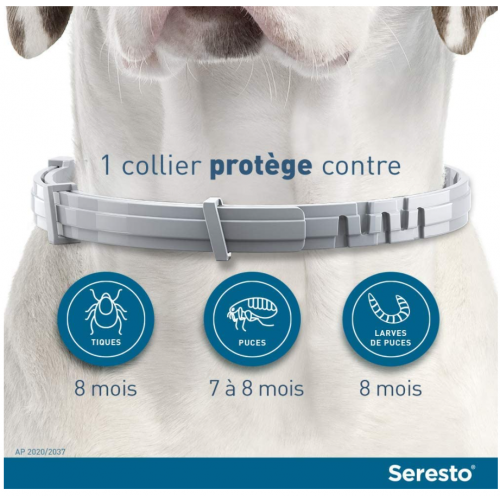 ELANCO SERESTO Collier Antiparasitaire - Chiens -8kg - Efficace