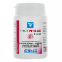NUTERGIA Ergyphilus Intima 60 gélules-16699