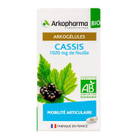 ARKOPHARMA Arkogélules cassis bio 45 gélules-16990