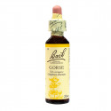 FLEURS DE BACH Gorse n° 13 20ml-17590