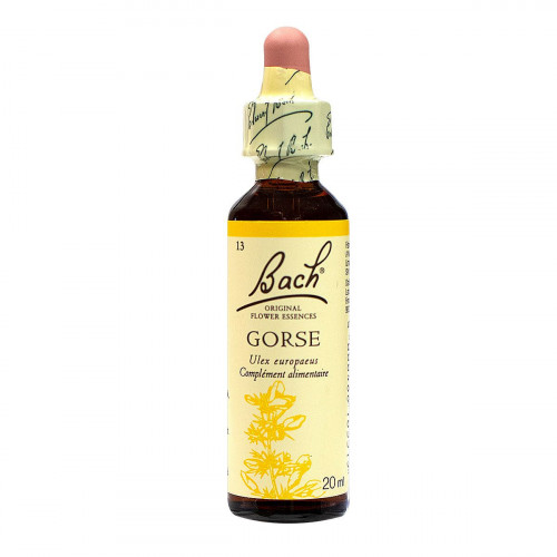 FLEURS DE BACH Gorse n° 13 20ml-17590