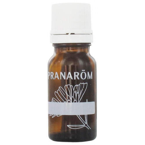 Pranarôm Aromaself Flacon Huile essentielle compte goutte vide - 10 ml -  Pharmacie en ligne