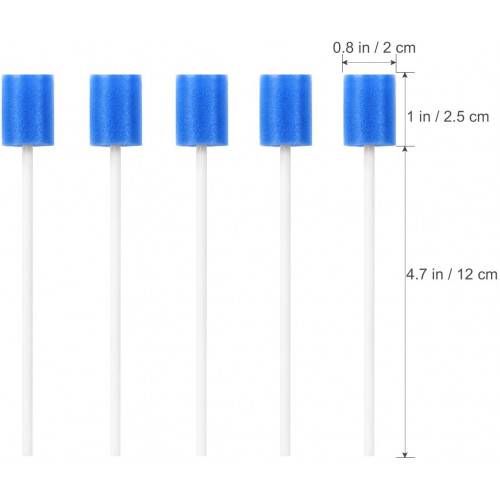 Dentips batonnet éponge étoile Soin de Bouche 1 Unité