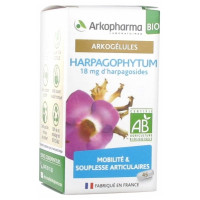ARKOPHARMA Arkogélules Harpagophytum Bio 45 Gélules-17761