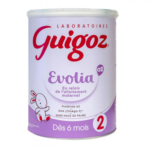 Guigoz Lait 2ème âge dès 6 mois 800g