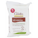 ROGE CAVAILLES Lingettes Intimes Sécheresse 15 Lingettes-17903