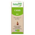 HERBALGEM Cassis Bio 30 ml-18124