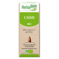 HERBALGEM Cassis Bio 30 ml-18124