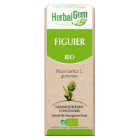 HERBALGEM Figuier Bio 30 ml-18125