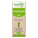 HERBALGEM Bio Framboisier 30 ml-18126