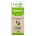 HERBALGEM Bio Pommier 30 ml-18130