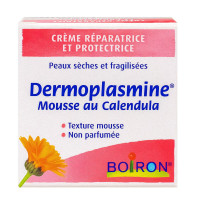 BOIRON Dermoplasmine crème mousse réparatrice peau sèche 20g-18479
