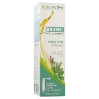 NATURACTIVE Brume Aux Essences Purifiant d'Intérieur 15 ml-19152