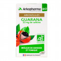 ARKOPHARMA Arkogélules guarana bio brûleur graisses 130 gélules-19349