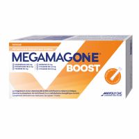 MegamagOne Boost 10 sticks Fatigue Mayoly Spindler