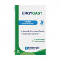 NUTERGIA Nutergia Ergygast Système Digestif 20 Sticks-20246