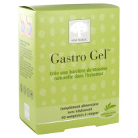 Gastro Gel 60 Comprimés