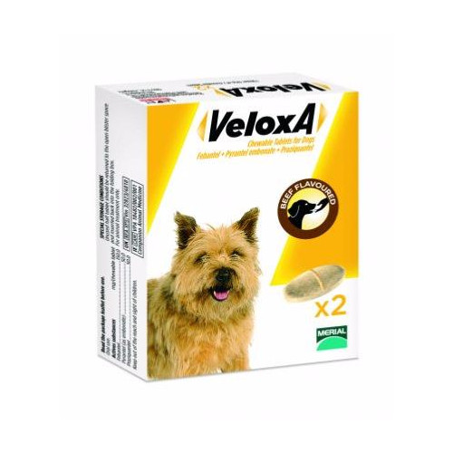 Veloxa Vermifuge Chien