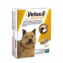 Veloxa Vermifuge Chien 4 Comprimés