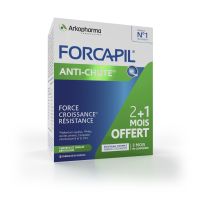 Forcapil Anti-Chute