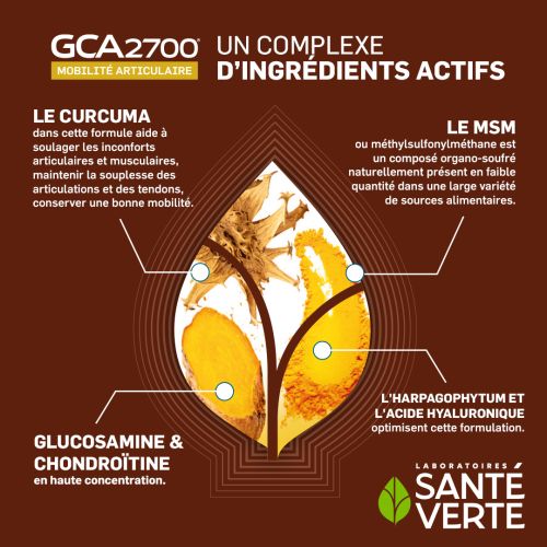 GCA 27002 Mois Achetés + 1 Mois Offert Offre Spéciale