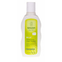 WELEDA Shampooing au Millet Usage Fréquent-2436