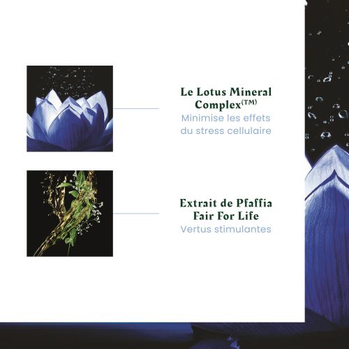 Triphasic Reactional rituel antichute 12 x 5 ml + Shampooing Triphasic 100 ml Offert