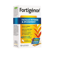 FORTIGENOR - Fatigue Intense et Epuisement, 60 comprimés