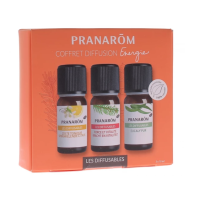 Les diffusables Coffret Classique Bio 3x10ml