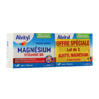 Magnésium Vitamine B6 2 x 45 comprimés