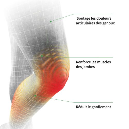 REVITIVE MEDIC GENOU Contre l'Arthrose du Genou