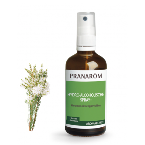 Spray hydro-alcoolique 100 ml Spray hydro-alcoolique 100 ml