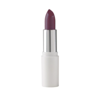 Rouge à Lèvres Satin Prune 4g