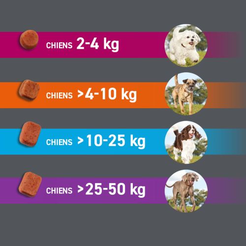 Frontpro Comprimés Antiparasitaire 10-25 Kg, 3 comprimés Frontpro Comprimés Antiparasitaire 10-25 Kg, 3 comprimés