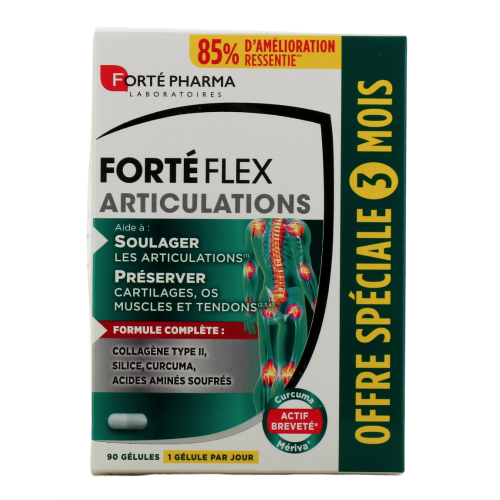 Forté Flex Articulations 90 gélules