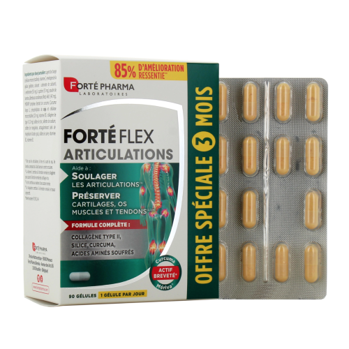 Forté Flex Articulations 90 gélules